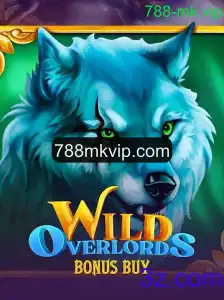 Explorando WildOverlordsBonusBuy: Um Novo Patamar em Entretenimento